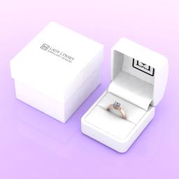 LLRR0103-100 LL box.jpg
