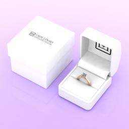 LLRR0202-110 LL box.jpg