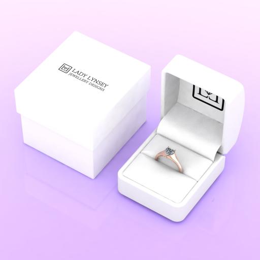 LLRR0226-100 LL Box.jpg